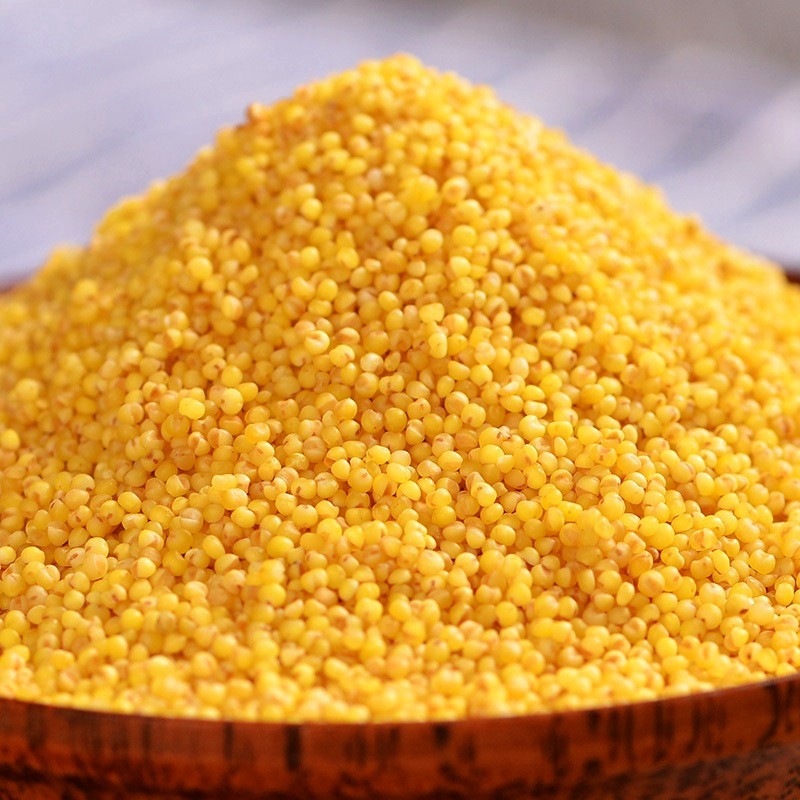 3 Jin yellow millet sweet sticky new rice specialty farm edible grains small yellow rice self-produced and sold