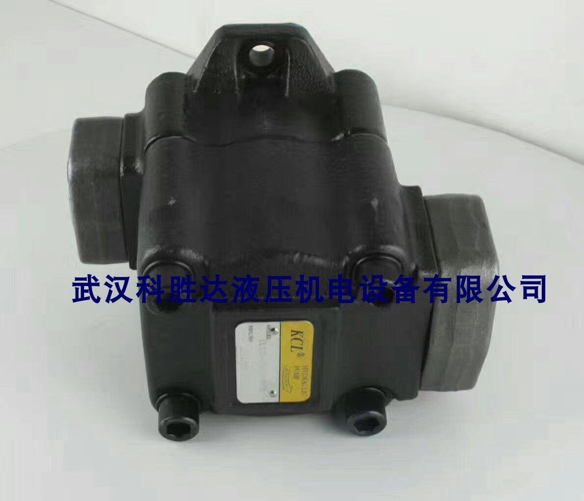 Kegia KCL Hydraulic Pump VQ2543FRRL01 High Pressure Dosing Vane Pump