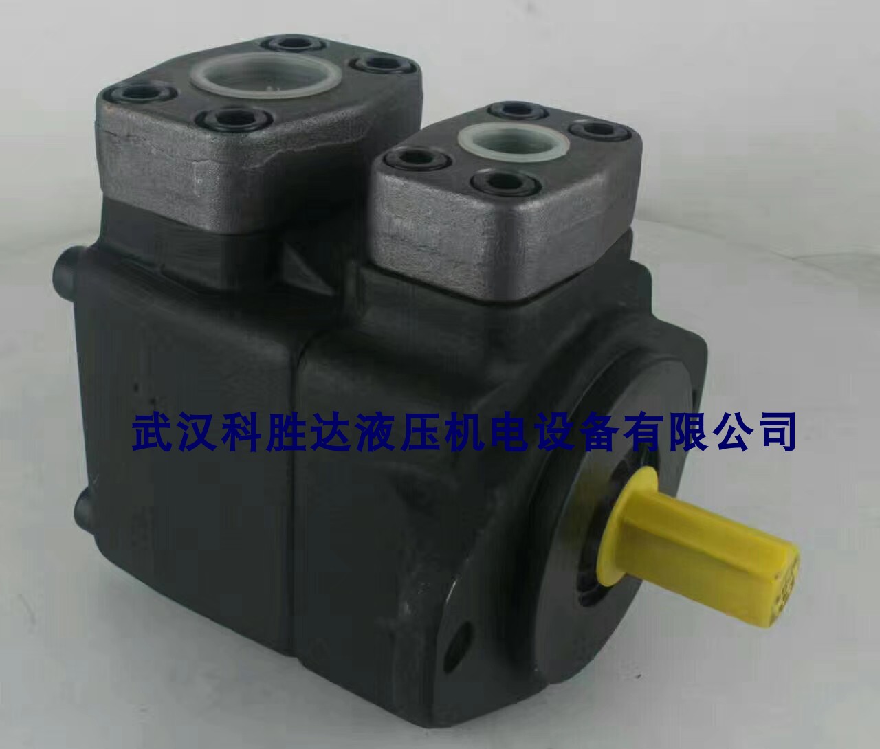 Kegia KCL Hydraulic Pump VQ2543FRRL01 High Pressure Dosing Vane Pump