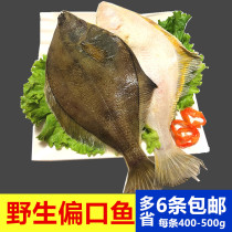 450g flounder partial mouth fish dish fish deep sea fresh fish fresh frozen seafood aquatic products 6