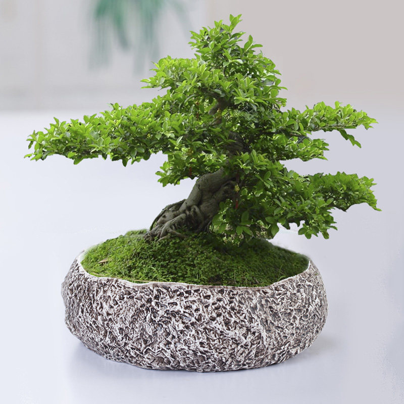 ��������ʯͷ�ƴ�Ź���ˮϴ��ϴ