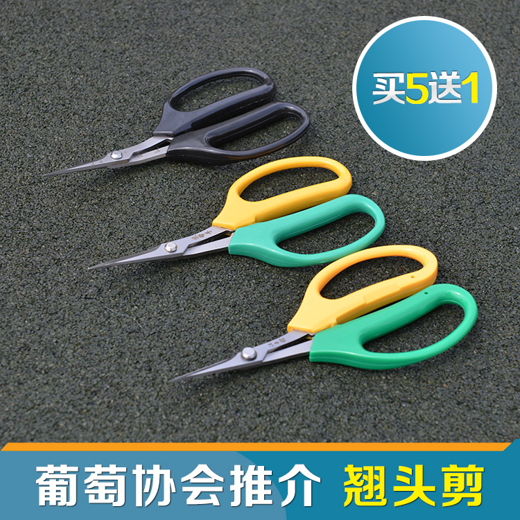 Teething Cut Garden Shears Grape Cut Prunes Cut of fruit and cut of fruit and cut of fruits and vegetables