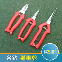 Famous diamond thin fruit shears gardening scissors picking scissors pruning scissors orange shears orange shears head shears grapes fruits and vegetables