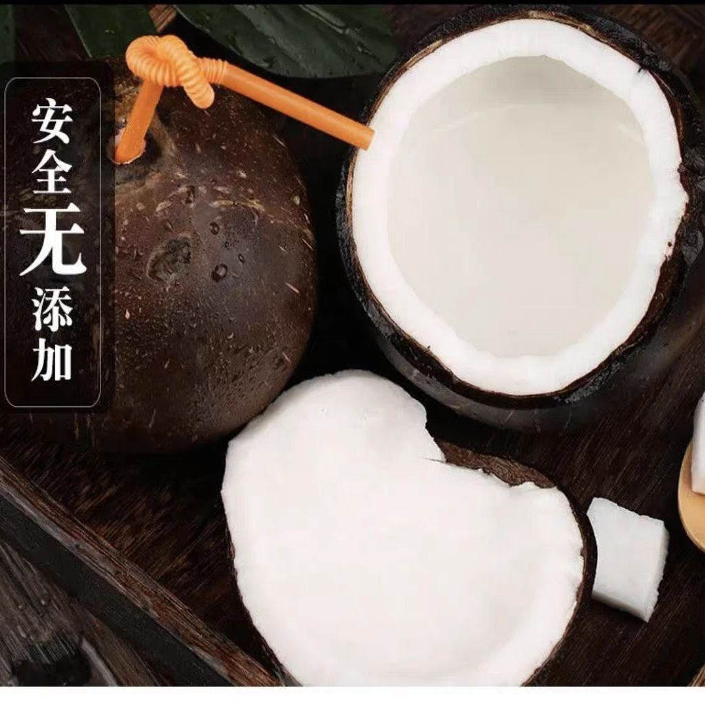 海南万宁特产椰宝9个装:当季新鲜椰子,煲汤神器,解锁热带风情!🌴🍹-椰青-淘宝百科网