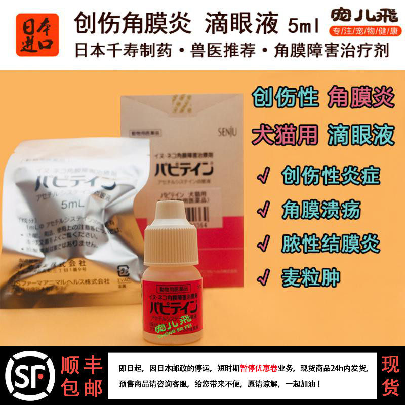 Japan Animal Hospital Pet Dog Kennel Corneal Corneal Injury Keratoconjunctivitis Ulcer Eye Drops Eye Drops