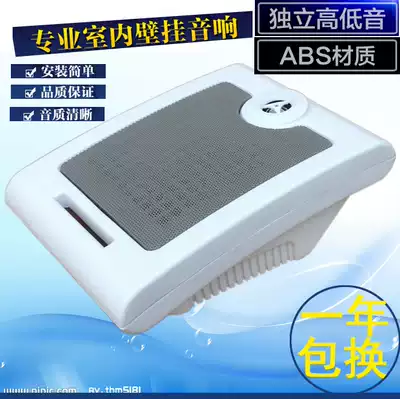 Indoor monitoring active wall-mounted audio classroom physical shop supermarket background music public broadcast fire horn
