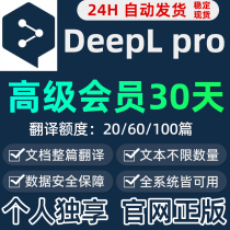 deepl pro professional version translation member exclusive account plug-in pdf document translation Japanese to English document API