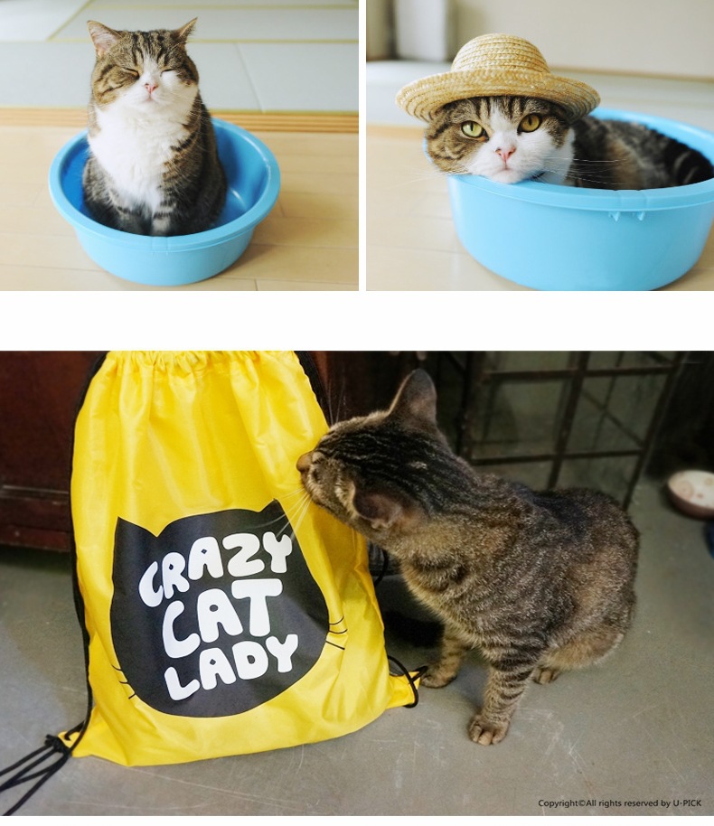 Cuộc sống mới nguyên bản U-pick Cat Comet Bunch Bag Ba lô dây rút di động balo công sở nữ
