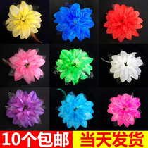 Childrens adult accessories Hair accessories Womens head accessories Hair accessories Hair clips Latin dance Dance clothing accessories Performance head flowers