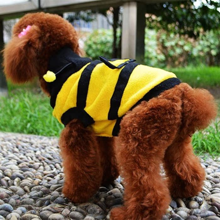 宠物狗狗衣服小蜜蜂变身装 猫泰迪贵宾比熊服装秋冬装 小型犬用品