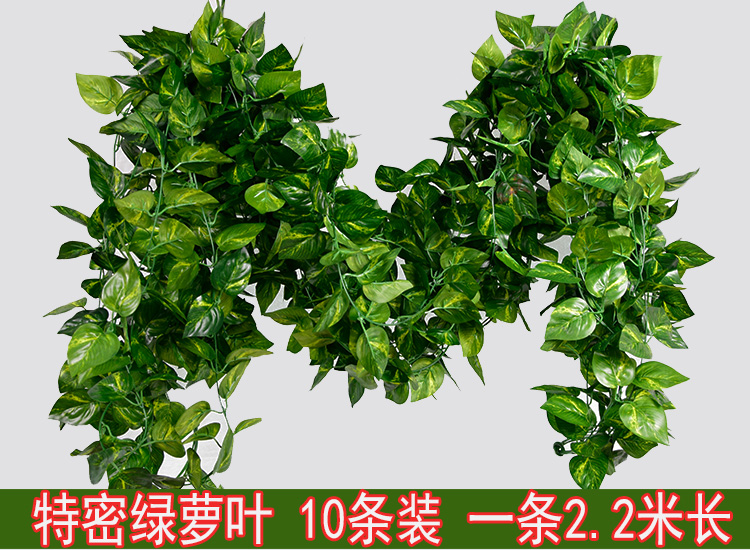 Dây đeo mô phỏng cây hoa giả mây xanh lá trang trí nho nho treo cây xanh tường nhựa cây lá treo tường - Hoa nhân tạo / Cây / Trái cây hoa giả để bàn thờ