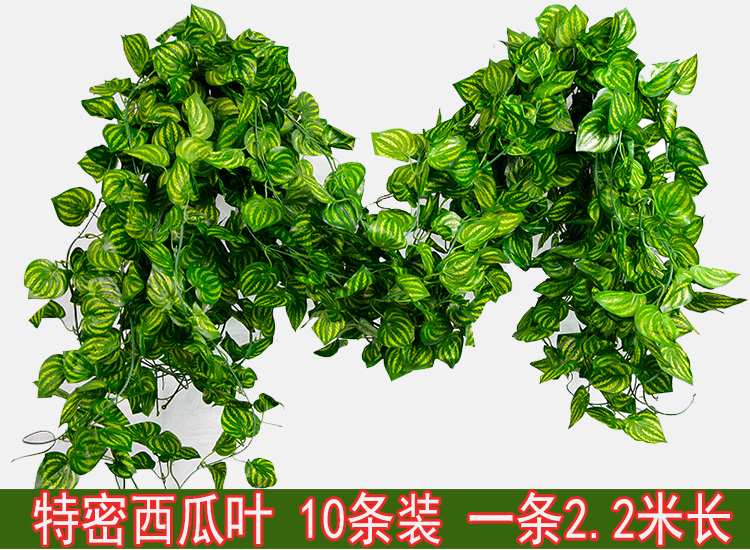 Dây đeo mô phỏng cây hoa giả mây xanh lá trang trí nho nho treo cây xanh tường nhựa cây lá treo tường - Hoa nhân tạo / Cây / Trái cây hoa giả để bàn thờ