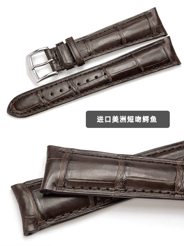 Импортный изогнутый ремешок для часов, мужские часы, 21mm, крокодил