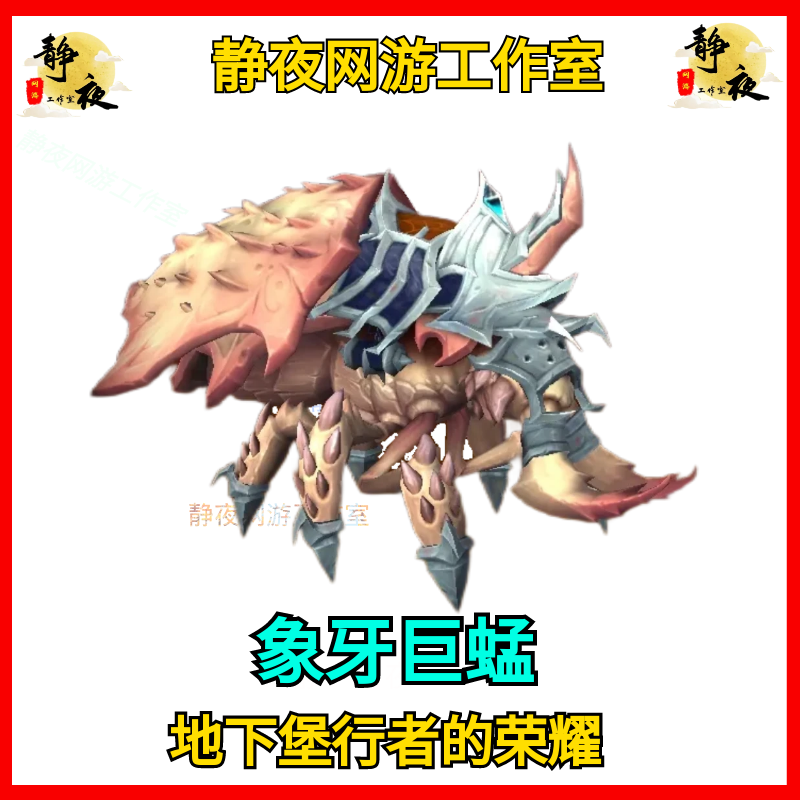 探索神秘的地下世界：洞穴探险完全指南