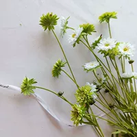 INS Korean Little Daisy Редкий белый и зеленый моделирование цветок естественно DIY Цветочный материал маленькие цветы стреляют в репутацию маленький букет
