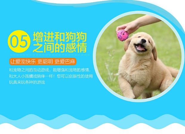 Thú cưng, chó và mèo đồ chơi, răng hàm, răng, giọng nói, gấu bông, chó tha mồi vàng, đồ chơi chó, chó con, chó nhỏ, bóng chống cắn đồ chơi mèo