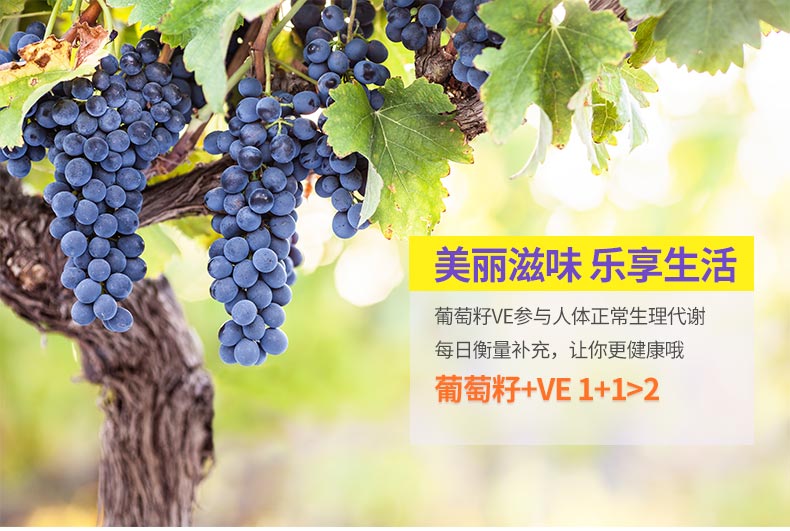 康恩贝葡萄籽维生素E胶囊