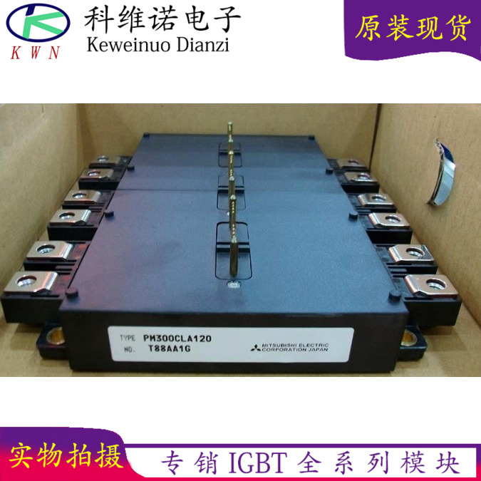 PM200CLA120 PM300CLA120 PM450CLA120 new original