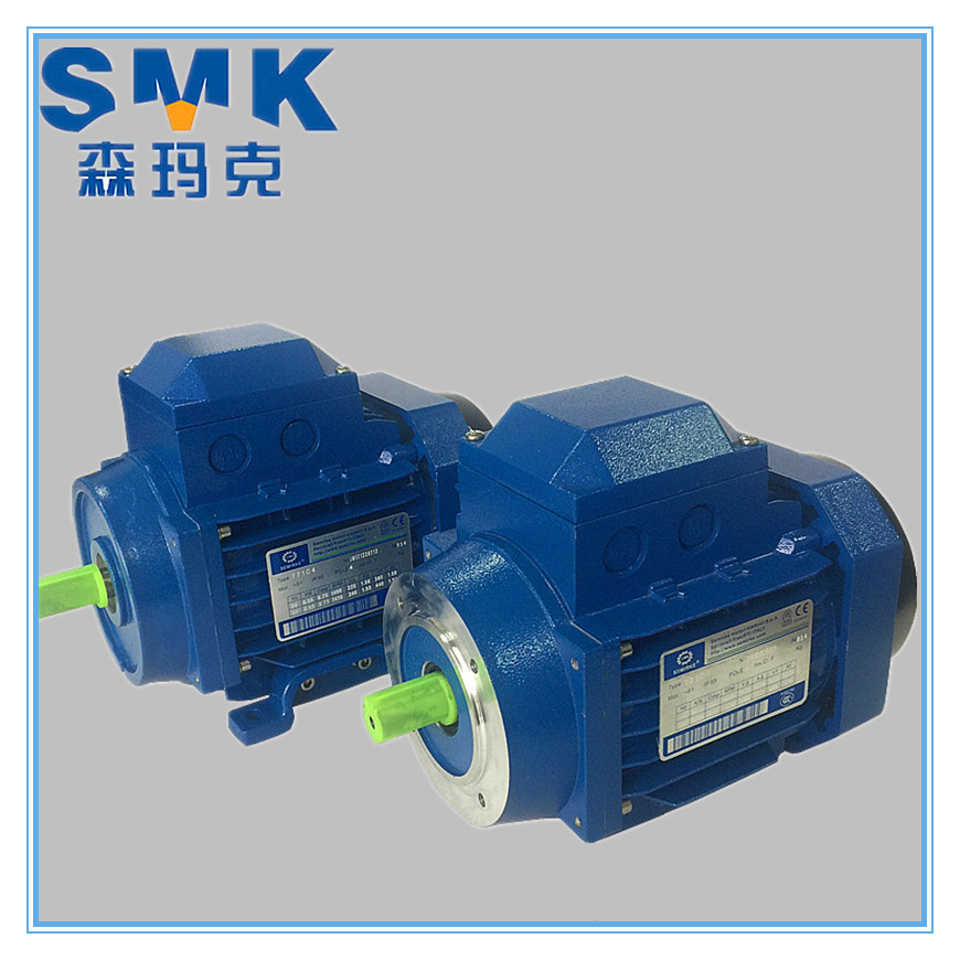 Spot supply Italy SEMIRKE Senmak three-phase asynchronous motor YS90s-4-1 1KW aluminum shell motor