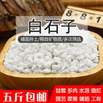 (Five pounds)small white stone cobblestone rough stone Natural sand and gravel fleshy paving stone Gardening landscaping white stone