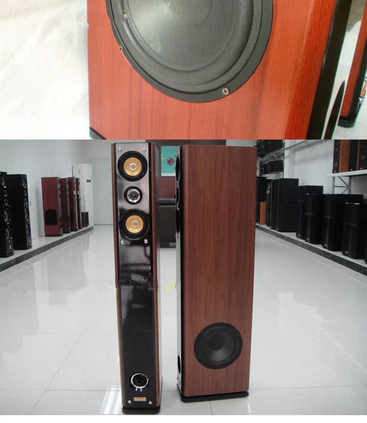 Loa tiêu chuẩn Wei 8 inch bằng gỗ - Loa loa loa may tinh