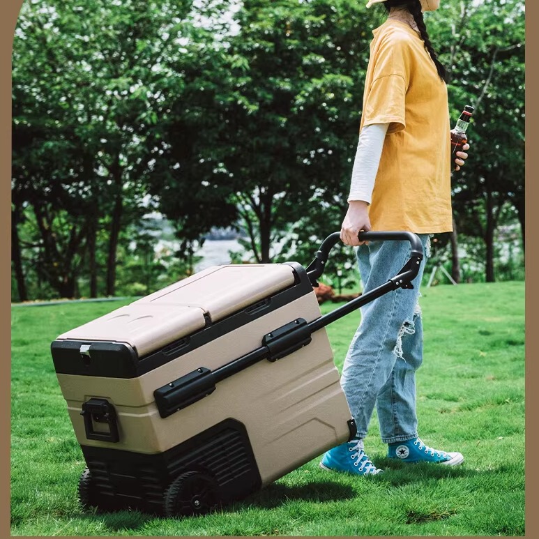 Ice Tiger Car Refrigerator, Dual-Use for Car and Home, Dual Temperature Control, Small Capacity, 12V/24V/110V/220V