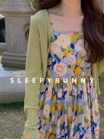 Зеленое пятно авокадо