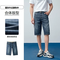 Blue-Gray Bull Transition Color (середина) 13