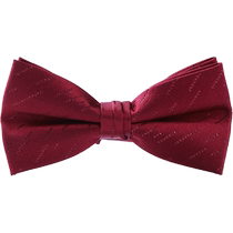 HLA Hai Lan Home mulberry silk bow tie 2024 new fashion and elegant wedding style bow tie for men