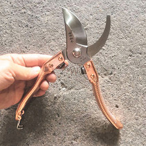 Bonsai Tools Pruning Steel Cut Branch Scissors Garden Scissors Gardening Scissors Fruit Tree Scissors Flower and Wood Scissors