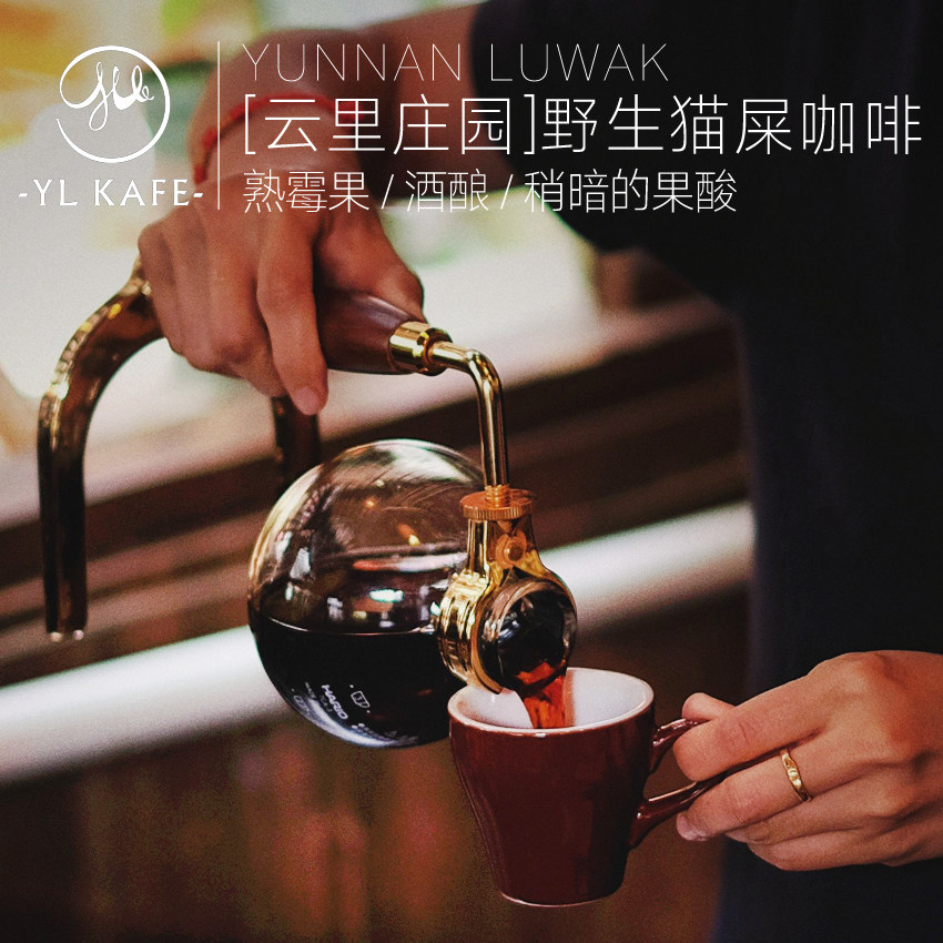 Cloud Curry Limited Treasures Authentic Yunnan Wild Cat Shit Coffee Freshly Baked 100 gr 