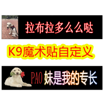 K9 pet dog chest strap custom personalized copybook a pair of side posts