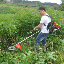 Lawn mower knapsack weeder four-stroke gasoline engine small multifunctional agricultural land reclamation rice harvesting household
