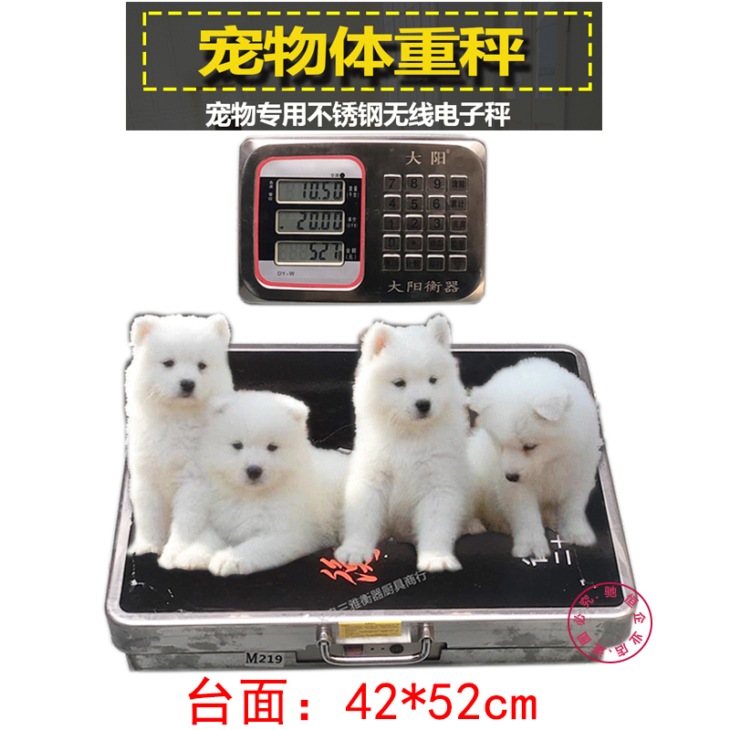 Pet electronic scale small newborn animal pound dog cat rabbit weight scale precision pet shop special weighing device