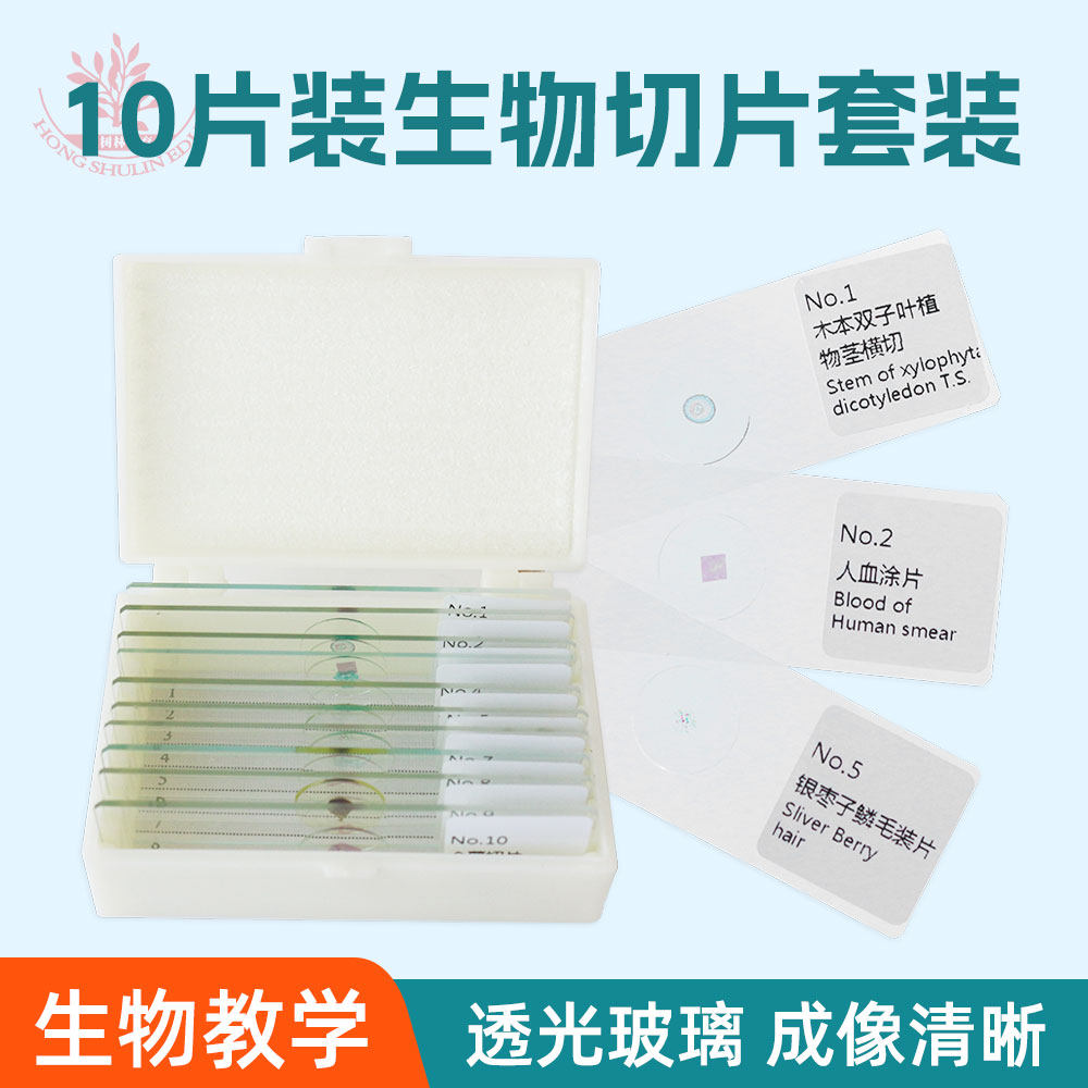 10片装学生显微镜配件取材新鲜标本真实生物教学科学实验生物切片