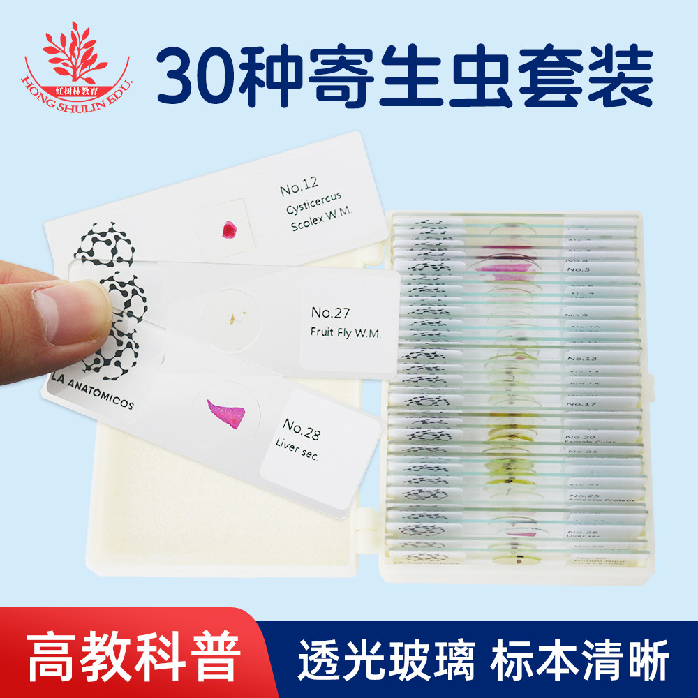 30片装寄生虫显微镜切片高教寄生虫学研究科研机构显微镜标本玻片