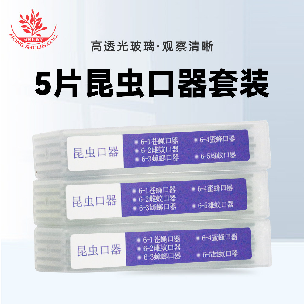 5片装昆虫口器生物切片激发孩子思维认识微观世界儿童显微镜标本