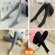 Cộng với quần lửng nhung dày với chân váy màu xám nhung mỏng mùa xuân và vớ mùa thu mùa đông mặc quần legging lưới màu đỏ