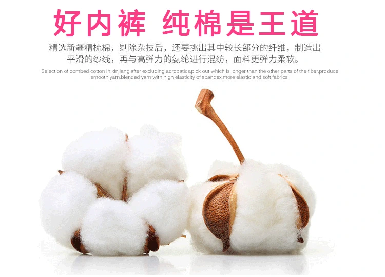 Đồ lót sinh lý, kinh nguyệt, cotton chống rò rỉ, thắt lưng, vệ sinh kinh nguyệt, đồ lót, thời kỳ sinh lý, thoáng khí giả, quần dì lớn - Giống cái