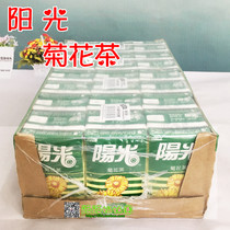 Guangdong Hong Kong imported beverage Hong Kong sunshine chrysanthemum tea 250ml * 24 boxes of imported chrysanthemum tea