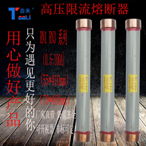 High voltage current limiting fuse RN1RN310-12KV0 5A1A5A10A25A40A60100A fuse tube