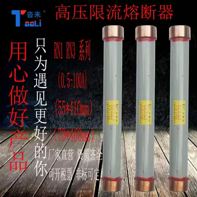 High voltage current limiting fuse RN1RN310-12KV0 5A1A5A10A25A40A60100A fuse tube