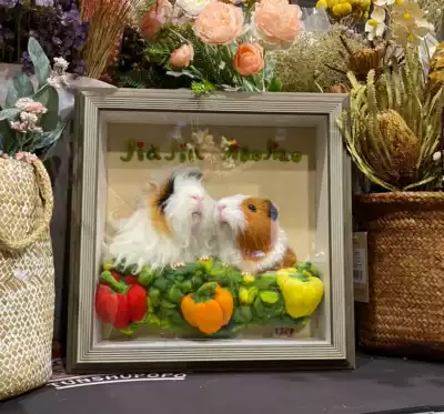 TSPP (Eternal pig)Guinea pig mother-in-law Dutch pig felt like felt doll