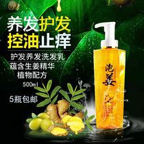 Ginger shampoo hair care oil control dandruff itching moisturizing smoothing barber shop supplies