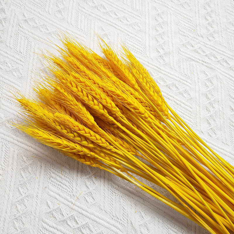 Natural Gold Wheat Ears Dry Flower Bouquet Open Barley Living Room Fields Garden Wind Decoration Pendulum Pieces Dried Flower Flower Arrangement Props
