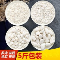 White gravel pure white stone rice natural white small stone pebbles rain stone flower pot decorative paving yard stone
