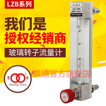 Double ring LZB-3WB(F)ammonia hydrogen nitrogen argon helium chlorine H2S custom-made miniature glass rotameter