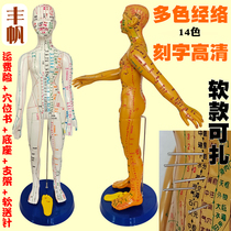 Acupuncture-Moxibustion Human Body Acupoint Model Whole Body Meridians Cumin Cumin Bronze People Can Zacumen Fake People Medical Model Diagrams Teaching