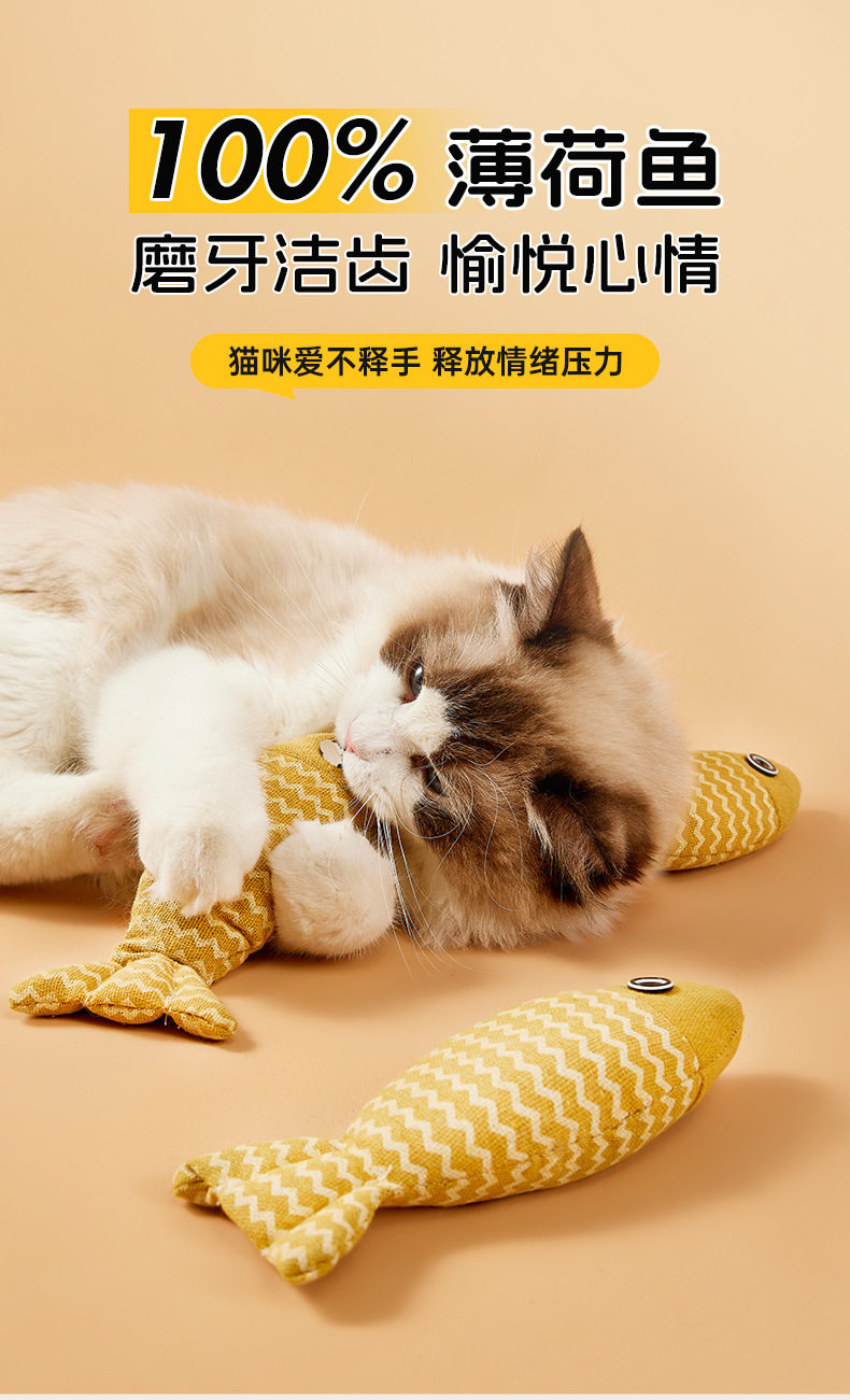 猫玩具自嗨猫转盘球小猫解闷逗猫神器游乐盘套装宠物用品猫咪玩具插图