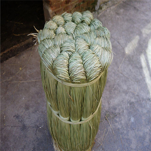Natural Fragrant Zongzi String, Reed Grass, Saltwater Grass for Wrapping Zongzi, String for Bundling Hairy Crabs, Grass for Tying Crabs
